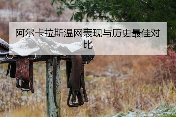 阿尔卡拉斯温网表现与历史最佳对比